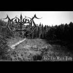 Malleus (BRA) : Into The Black Path